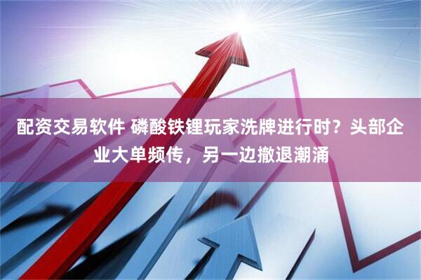 配资交易软件 磷酸铁锂玩家洗牌进行时？头部企业大单频传，另一边撤退潮涌
