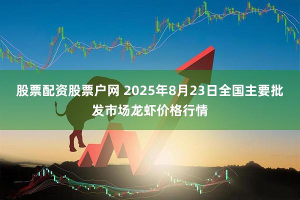 股票配资股票户网 2025年8月23日全国主要批发市场龙虾价格行情