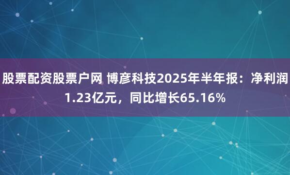 股票配资股票户网 博彦科技2025年半年报：净利润1.23亿元，同比增长65.16%