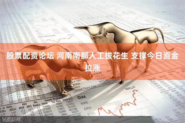 股票配资论坛 河南南部人工拔花生 支撑今日资金拉涨