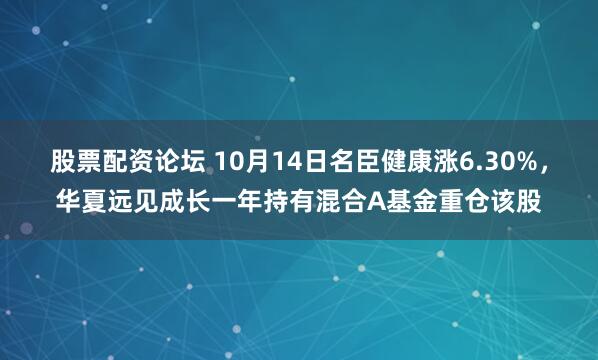股票配资论坛 10月14日名臣健康涨6.30%，华夏远见成长一年持有混合A基金重仓该股