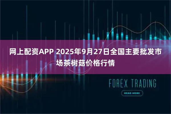 网上配资APP 2025年9月27日全国主要批发市场茶树菇价格行情